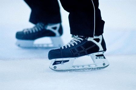 Hockey Skates